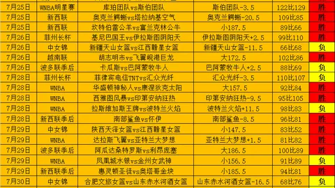 对决深度解析：梦想队狂热队终极对决